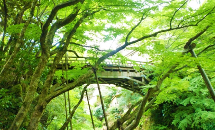 加賀温泉郷（山中・山代・片山津温泉）