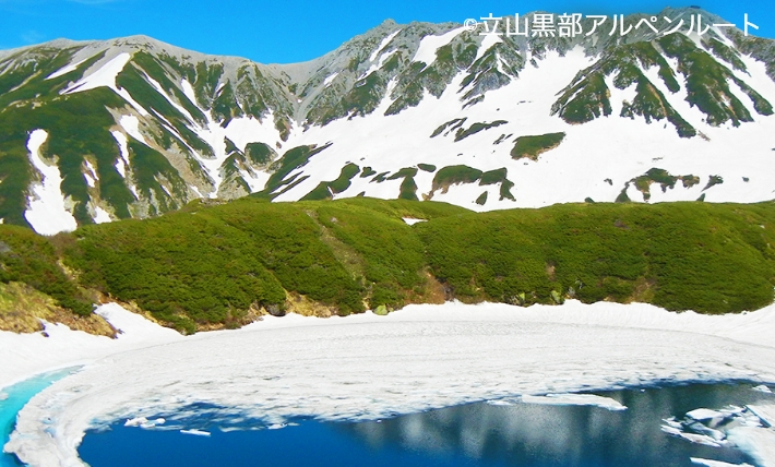 立山黒部アルペンルート