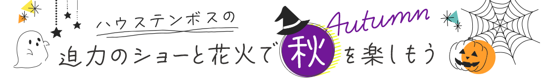 ハウステンボスの迫力のショート花火で秋を楽しもう
