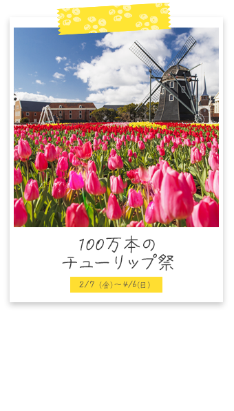 100万本のチューリップ祭 2/7（金）～4/6（日）開催予定