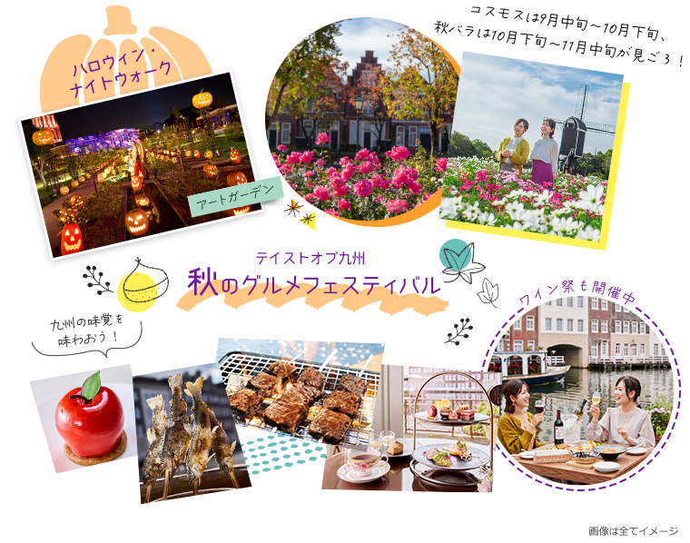 コスモスは9月中旬~10月下旬、秋バラは10月下旬~11月中旬が見ごろ!秋のグルメフェスティバルも!
