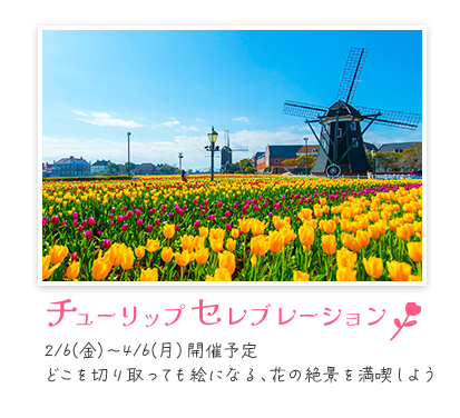 チューリップセレブレーション 2/6（金）～4/6（月）開催
