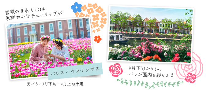 4月下旬からは、バラが園内を彩ります