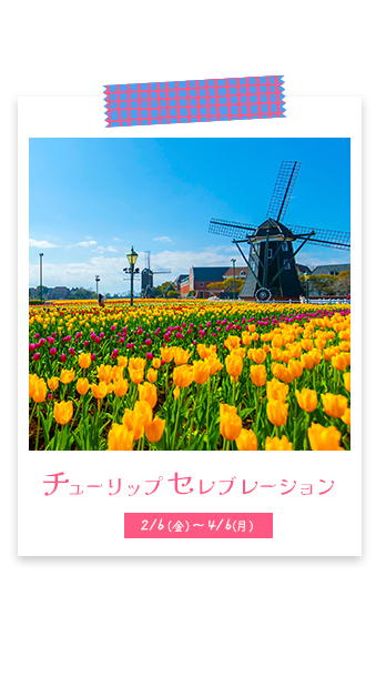 チューリップセレブレーション 2/6（金）～4/6（月）開催