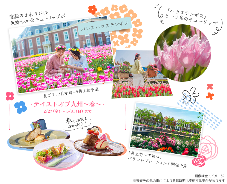 4月下旬からは、バラが園内を彩ります