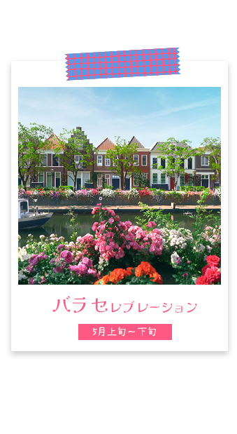 バラセレブレーション 5月上旬～下旬開催予定