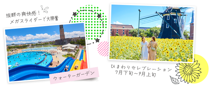 ひまわりセレブレーション　7月下旬～9月上旬