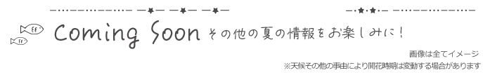 comming soon