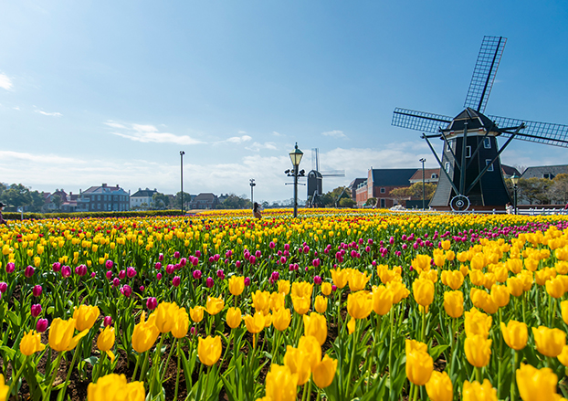 European Holy Christmasのイメージ