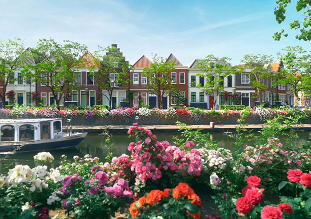 バラセレブレーションのイメージ