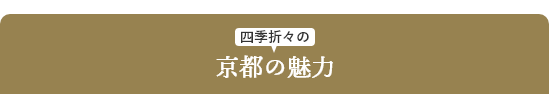 京都の魅力