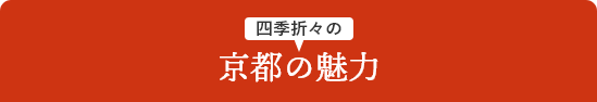 京都の魅力