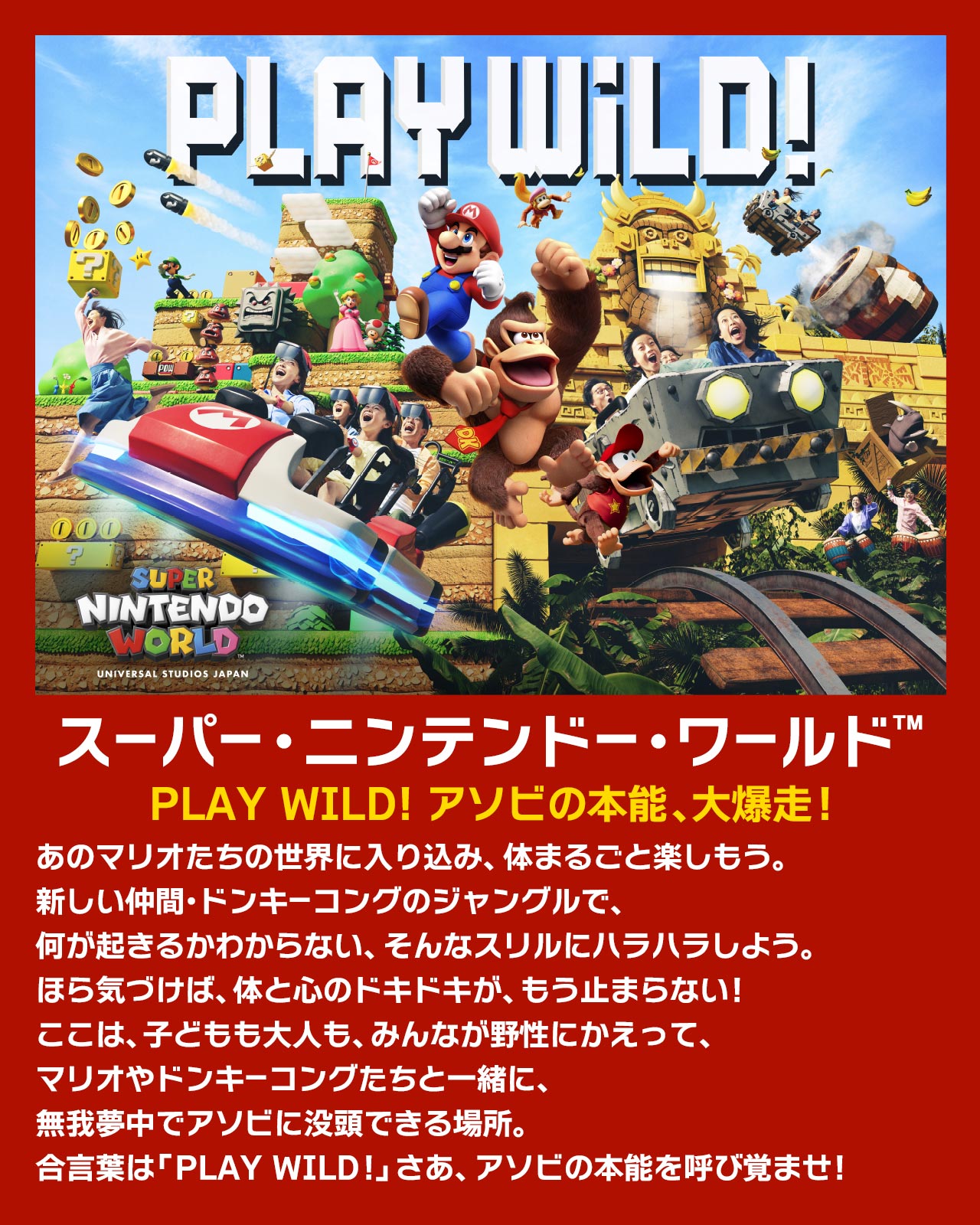 【非売品】ユニバーサルスタジオジャパン　スーパーニンテンドーワールド　ポスター USJの任天堂エリア「スーパー・ニンテンドー・ワールド」2月4日に