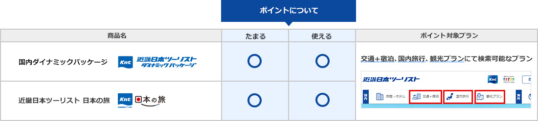 交通＋宿泊、国内旅行、観光プランのポイントについての表