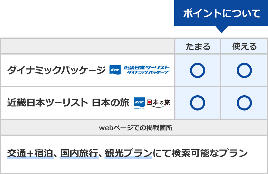 交通＋宿泊、国内旅行、観光プランのポイントについての表