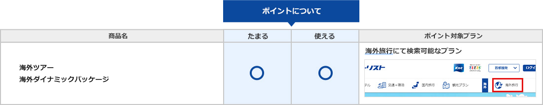 海外旅行のポイントについての表