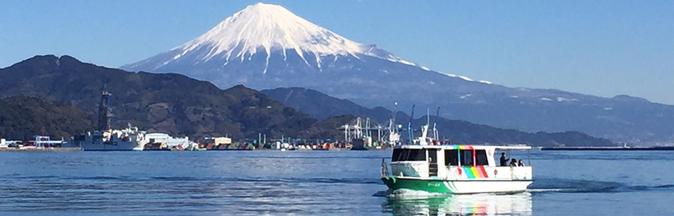 清水港まぐろきっぷ