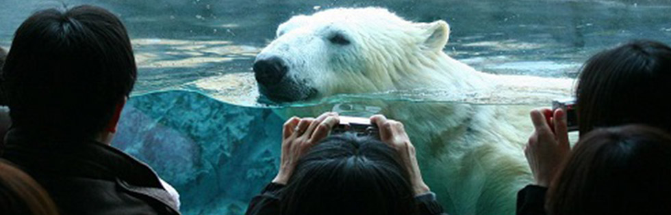 最北の動物園「旭山動物園」