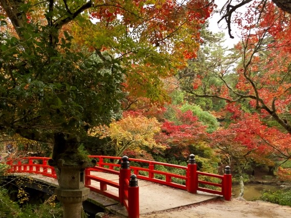 錦秋の安芸の宮島