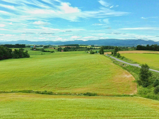 北海道おすすめプラン