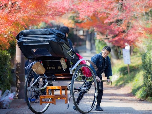 紅葉彩る　古都京都
