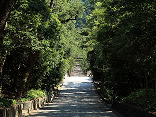 全国的にも珍しい下り参道