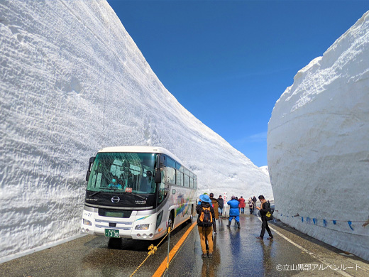 青空×白壁のコントラストが美しい雪の壁。