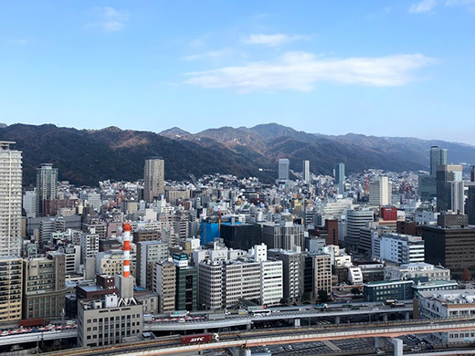 神戸ポートタワーからの眺め