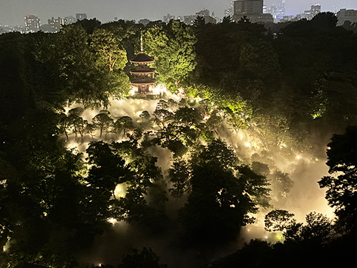 大雲海の様子