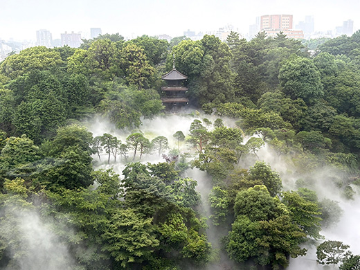朝大雲海