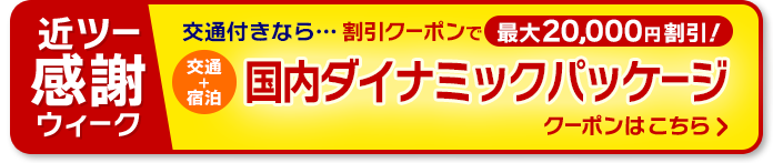 交通＋宿泊クーポンはこちら