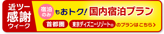 首都圏・東京ディズニーリゾート(R)　宿泊のみのプランはこちら！