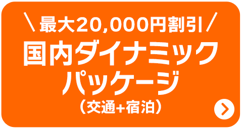 国内ダイナミックパッケージ