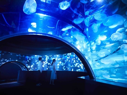 京都水族館