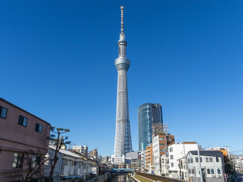 東京 販売 観光 本 おすすめ