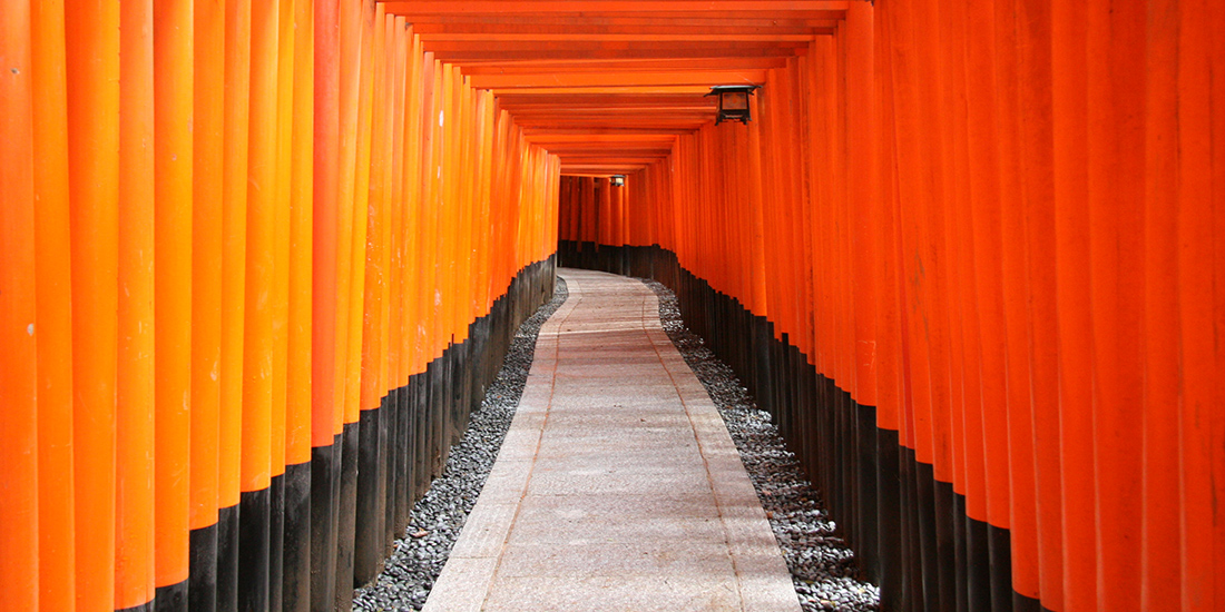 日本観光めいしょの旅 ショップ 照明