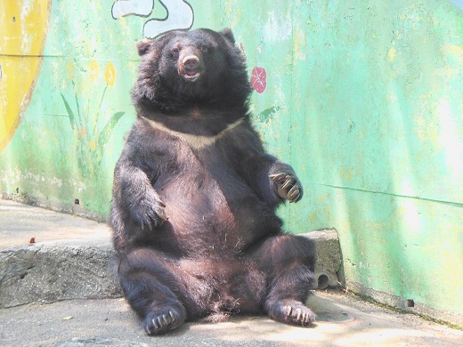 和歌山城公園動物園