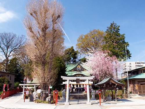 川越八幡宮