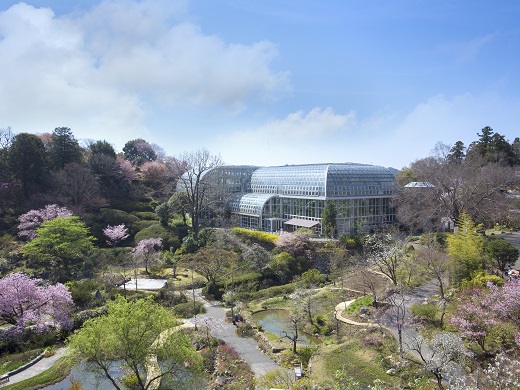 高知県立牧野植物園