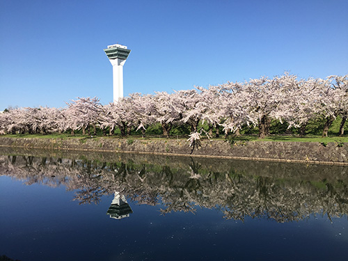 五稜郭公園