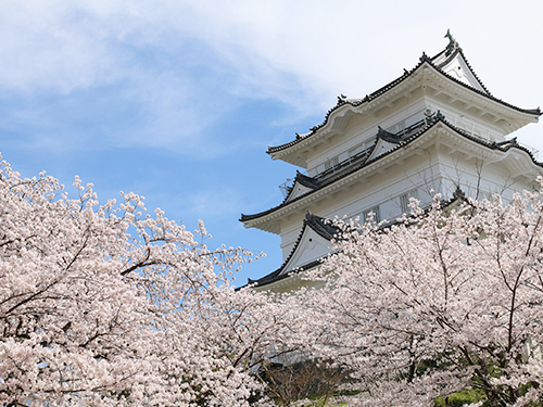 小田原城址公園