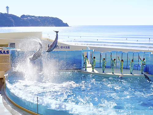 新江ノ島水族館