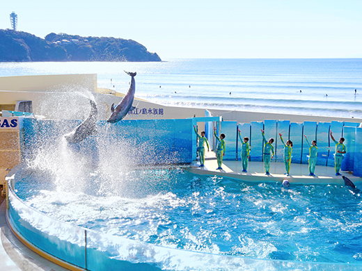 神奈川を観光するなら外せない名所を厳選紹介！海にグルメにエンタメに満足いくこと間違いなし