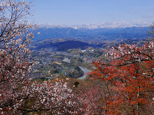 美の山公園