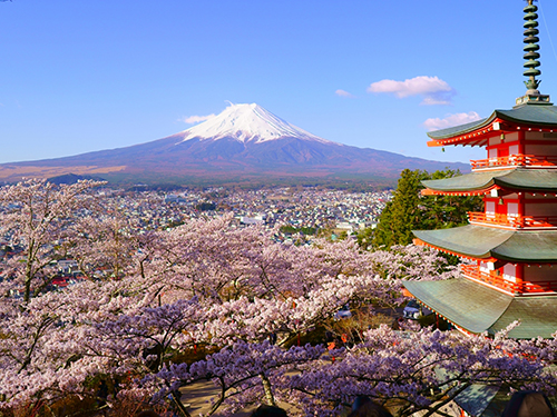 富士山 ストア ベスト スポット