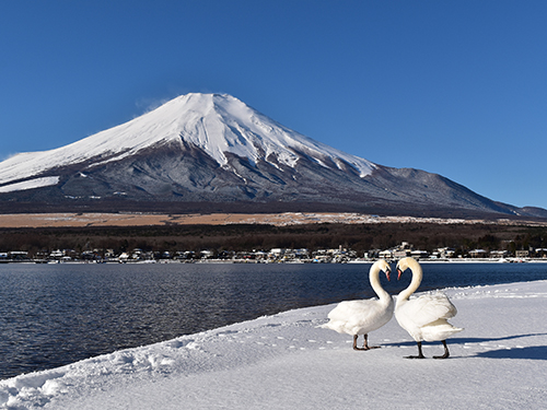 山中湖