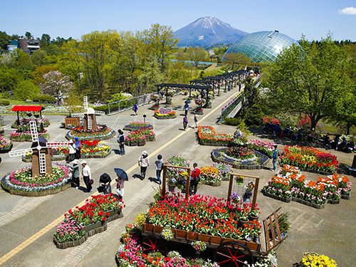 とっとり花回廊