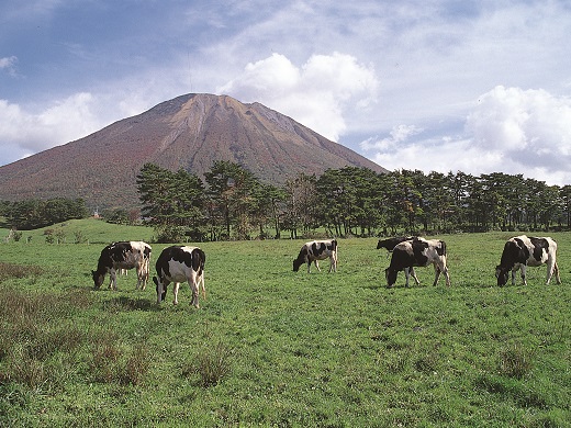 大山まきばみるくの里