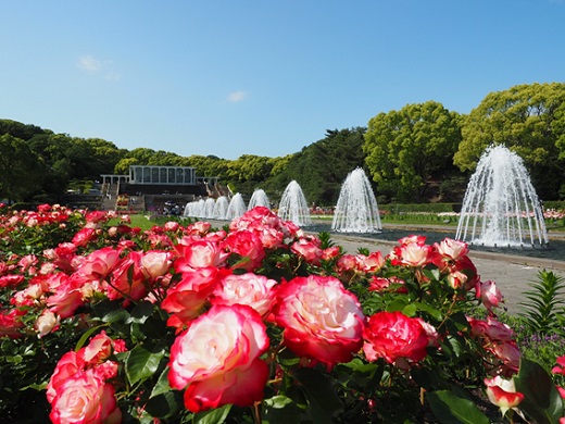 神戸市立須磨離宮公園