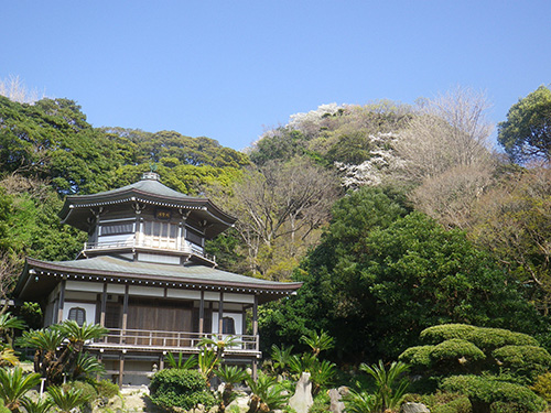 浄土宗大本山 光明寺